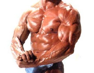 BODY BUILDING